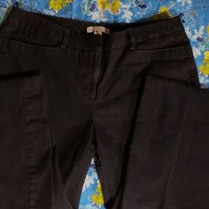 Women's Dress Pants